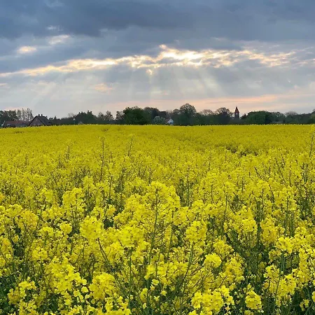 Grande _ Gleneagles _we *