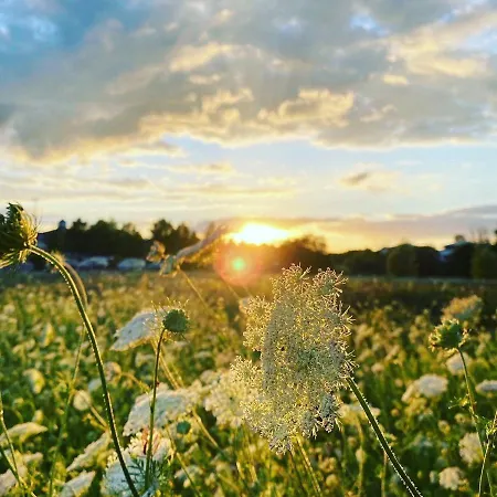 Grande _ Gleneagles _we *